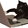 :cat_typing_laptop: